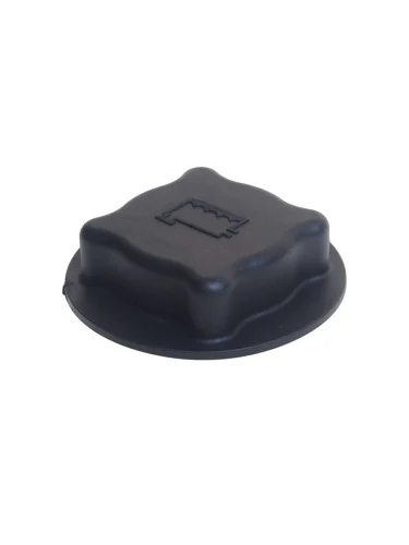 Крышка бачка расширительного VOLVO FH12,FH16 DT DT 2.15325