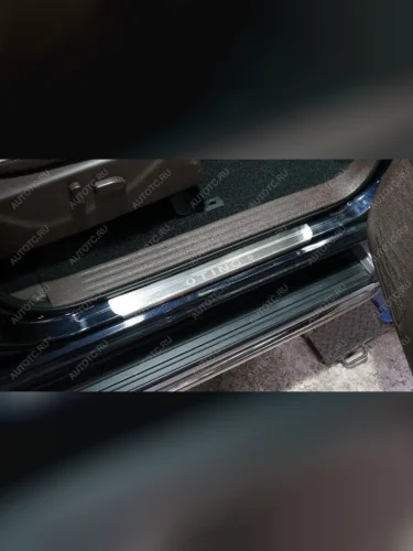 Накладки на пороги (лист шлифованный надпись Oting) 2шт Oting ПАЛАDИН 2024