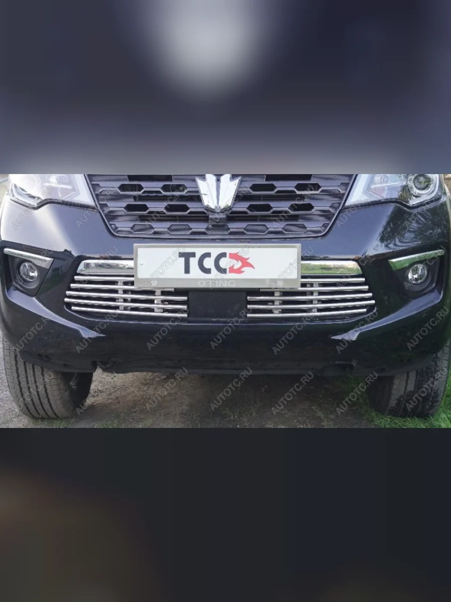 Вставка переднего бампера (нерж. трубка d16 мм) ТСС Тюнинг Oting Paladin (2023-2025)  в Перми Пермском крае