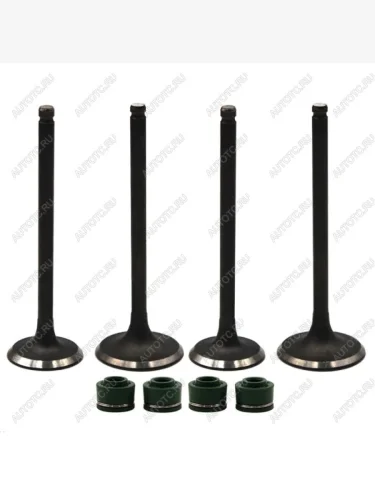 Комплект клапанов c маслосъемными колпачками AHL Yamaha TTR250  пм-00030760