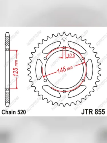 Звезда цепного привода JTR855 48  jtr855.48