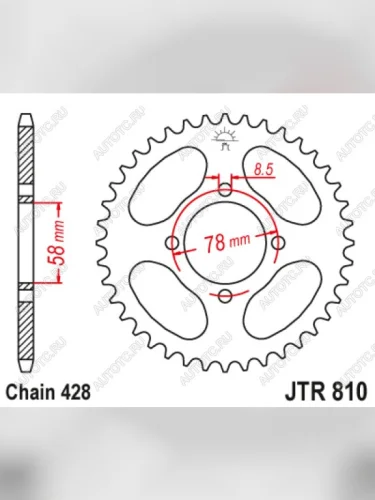 Звезда цепного привода JTR810 43  jtr810.43