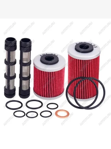 Комплект масляных фильтров AHL KTM Duke 690 12-19, SMC690R 12-24, EnduroSupermoto 701 16-23  пм-00030742