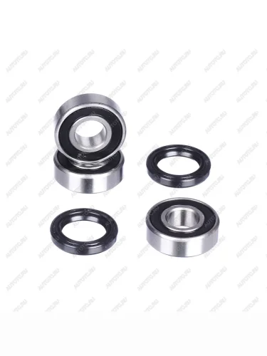 Комплект подшипников и сальников заднего колеса CHAKIN CH25-1189  ch25-1189