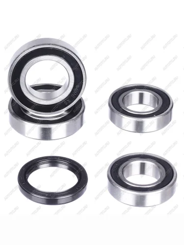 Комплект подшипников и сальников заднего колеса CHAKIN CH25-1668  ch25-1668