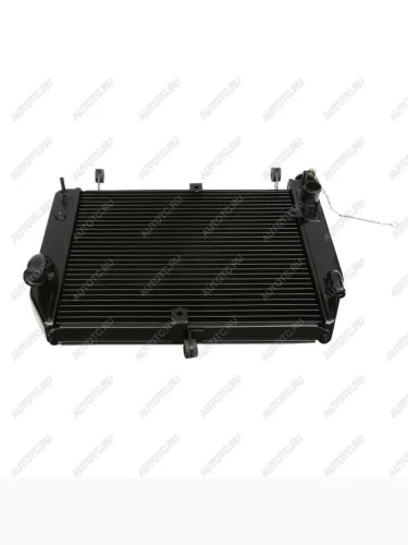 Радиатор для Yamaha YZF-R1 02-03  пм-00000934