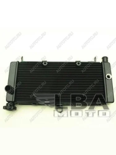 Радиатор для Honda CB600F 98-05 (Hornet), CB600F 00-03 (Hornet S)  пм-00000958