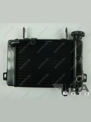 Радиатор для Honda CBR125 04-10  пм-00000961