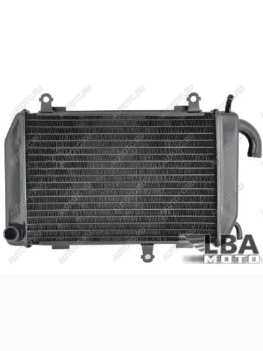 Радиатор левый для Honda GL1800 LH 01-14, GL1800B LH 13-14  пм-00003644