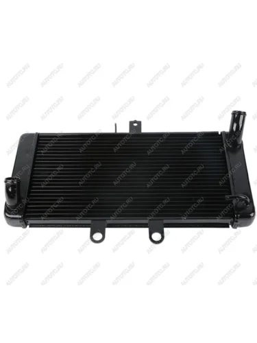 Радиатор для Suzuki GSF1250 07-16, GSF650 08-15  пм-00024027