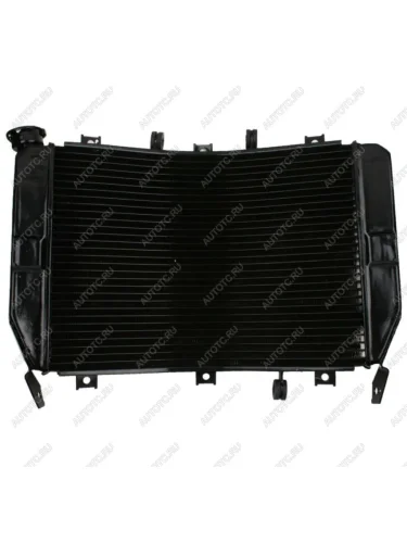 Радиатор для Kawasaki ZX636 03-04  пм-00024029