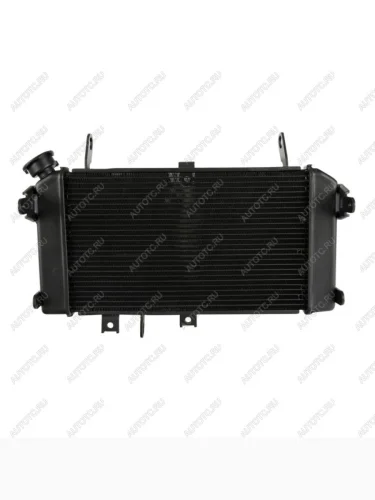 Радиатор для Suzuki SFV650 09-16  пм-00027311