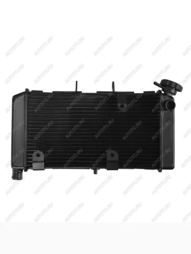 Радиатор для Honda NC700XD 12-17, NC750XD 18-21  пм-00027308