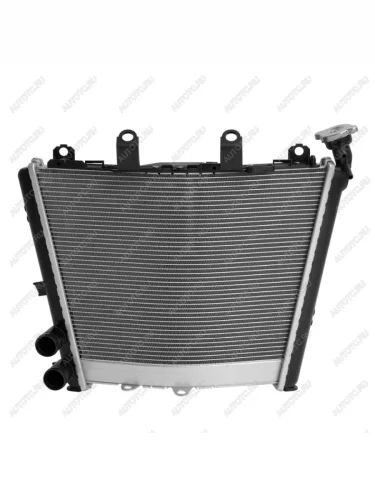 Радиатор для BMW M1000RR 21-24, S1000R 21-24, S1000RR 19-24  пм-00030874