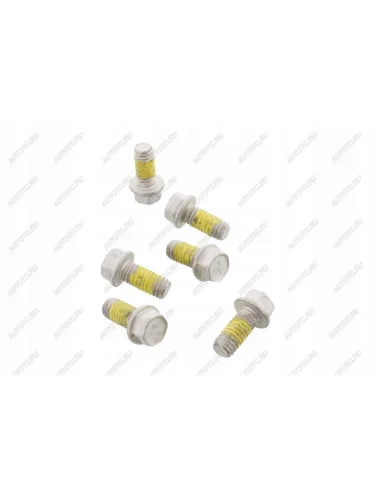 Болты тормозного диска MSS124-6  mss124-6