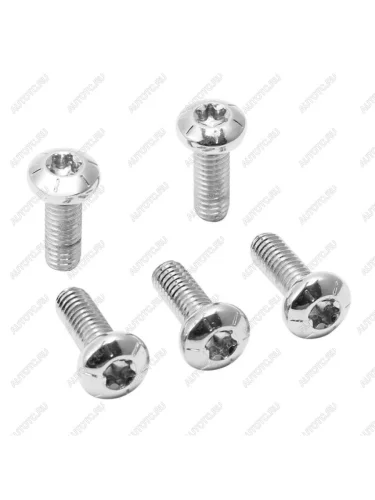 Болты тормозного диска Harley-Davidson 78, 516-18  Хром 5шт.  пм-00025622