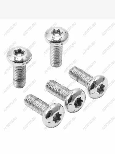 Болты заднего тормозного диска Harley-Davidson TouringSportsterDynaSoftail 38-16  пм-00030856