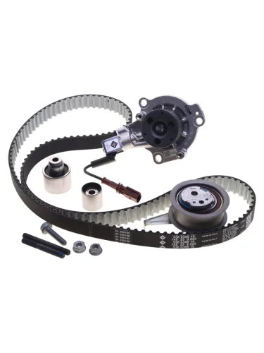 Комплект ГРМ VW Golf (09-),T6 AUDI A4,A5,A6,Q3,Q5 (11-) (1.62.0 TDI) с помпой INA INA 530065030