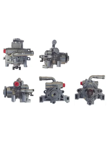 Насос ГУР для PEUGEOT BOXER, TRANSIT, DUCATO, JUMPER 06-, DIESEL 2.2L DAR ng400030