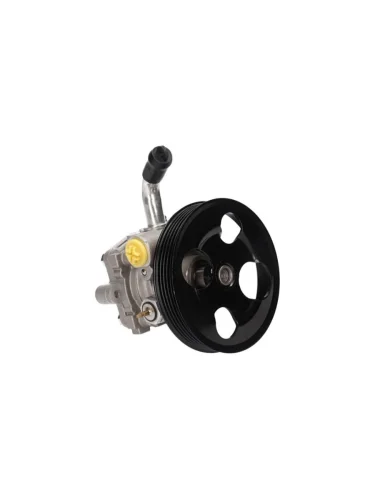 Насос ГУР для SUZUKI GRAND VITARA  CHEVROLET TRACKER 2,0 J20A 98-05 DAR ng400032