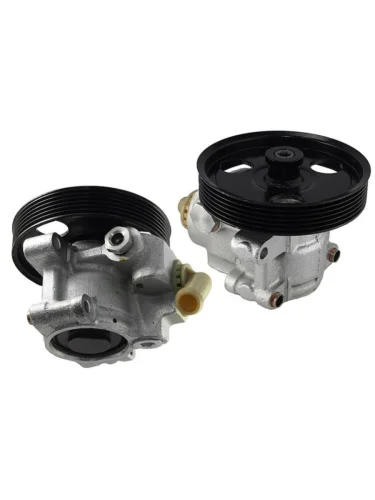 Насос ГУР для MAZDA TRIBUTE , FORD FOCUS DAR ng400059