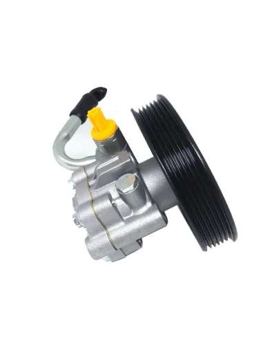 Насос ГУР для NISSAN BASSARA  PRESAGE  RNESSA KA24DE DAR ng400062