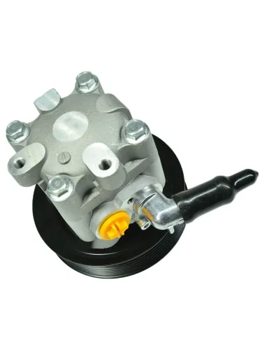 Насос ГУР для NISSAN MURANO  TEANA 08- (7 ручейков) DAR ng400064