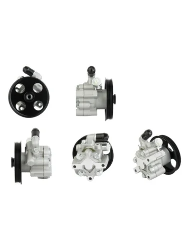 Насос ГУР для Chevrolet Cruze 09-,Opel Insignia 08-, Astra J 09-Gasoline 1.6;1,8L DAR ng400078