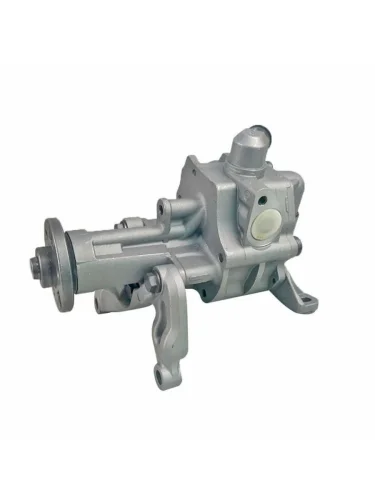 Насос ГУР для BMW 3.0L GASOLINE X5 E70 07-13  X6 E71 08-14 с электроклапаном  DAR ng400110