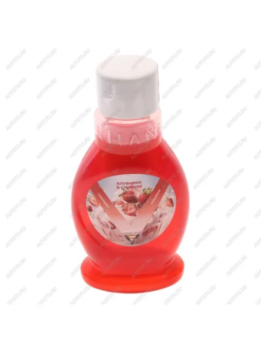 Ароматизатор в карман двери жидкостный (Клубника) 300 мл фитильKhani VEZDESENS VEZDESENS ww-10 VEZDESENS ww-10