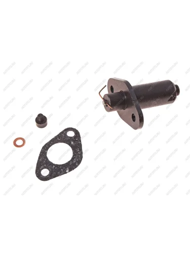 Натяжитель цепи ВАЗ-2103,06,2121 комплект CLASSIC (двухрядная цепь) РУСМАШ РУСМАШ 2101-1006060