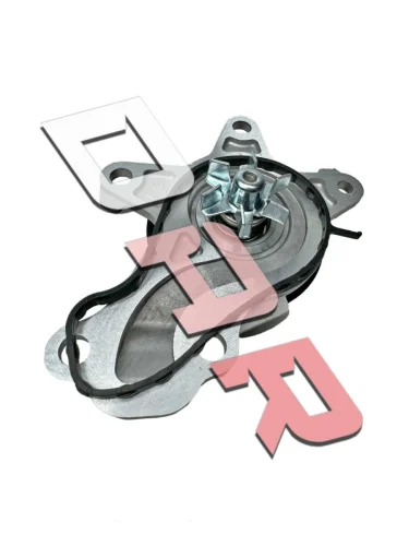 Помпа для TOYOTA PASSO 1KRFE  DAR vp1620025