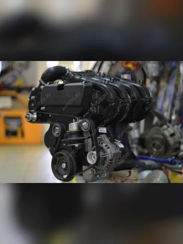 Комплект с нагнетателем ПК23-1 для 16 кл автомобилей Optibelt 688245681