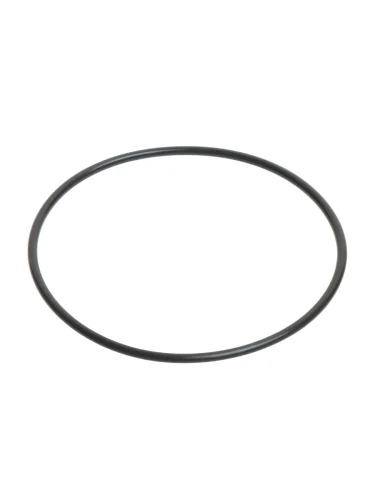 Кольцо уплотнительное RENAULT плунжера BOSCH BOSCH 2469403152