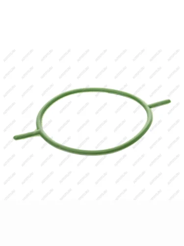 Кольцо уплотнительное FORD Transit Connect (02-13) насоса вакуумного BSG BSG bsg30116084