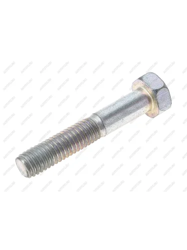 Болт М6х1.0х35 трубопроводов гидропривода тормозов ЗИЛ-5301, крепления радиатора ГАЗ-3302 ЭТНА Красная Этна 200213-п29