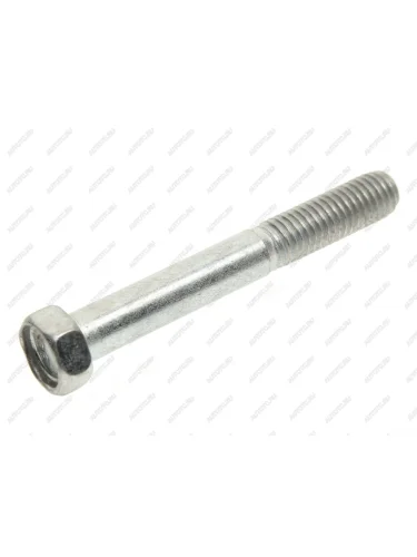 Болт М8х1.25х60 ЗИЛ-5301 радиатора масляного, ЗМЗ-406 пластины звездочки вала промежуточного ЭТНА Красная Этна 200271-п29