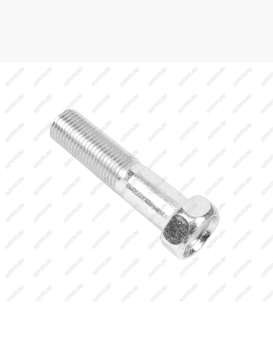 Болт М12х1.25х50 ГАЗ-3302 эксцентрика ГРМ ЭТНА Красная Этна 201571-п29  в Самаре Самарской области