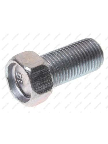 Болт М10х1.0х20 ГАЗ-2217,2705 опоры механизма двери боковой ЭТНА Красная Этна 201516-п29