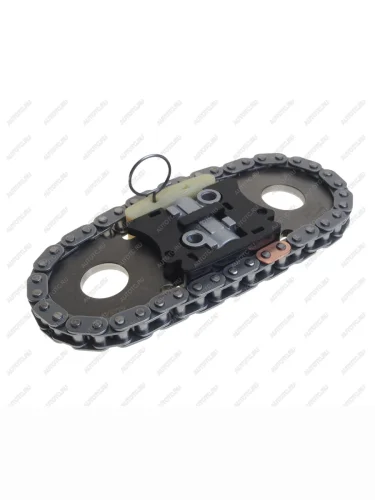 Комплект цепи ГРМ IVECO Daily (02-06) BSG BSG bsg25102002