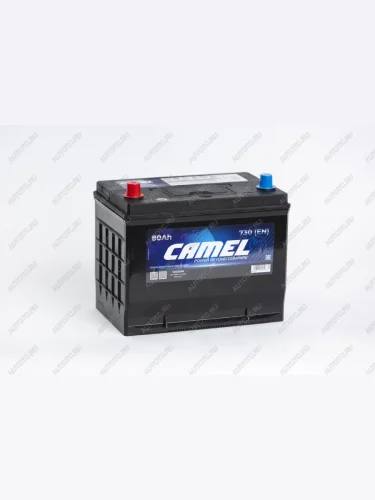 Аккумулятор CAMEL Asia 80Ач CAMEL 6ст80(1) 105d26r