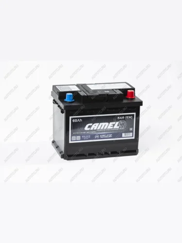Аккумулятор CAMEL EFB 60Ач обратная полярность CAMEL 6ст60(0) l2 (efb ln2 60)