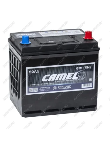 Аккумулятор CAMEL EFB Asia 60Ач обратная полярность CAMEL 6ст60(0) d23l q85l