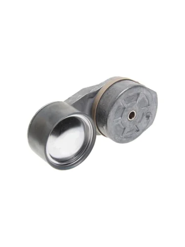 Натяжитель ремня RENAULT VOLVO дв.DXI11 DAYCO DAYCO apv1151