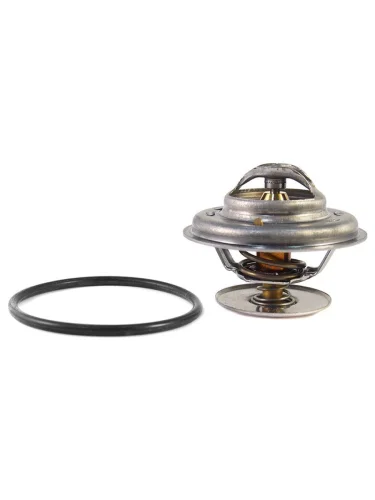 Термостат с прокладкой MERCEDES W202W124W210W463 M102M103 VERNET th1476.87j