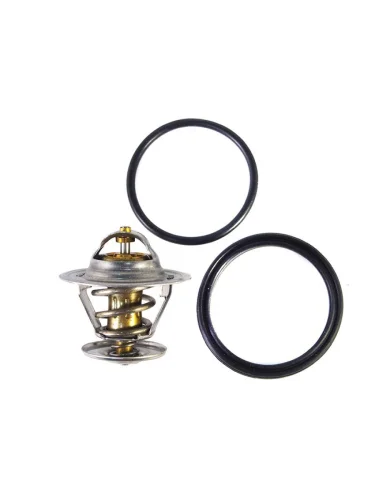 Термостат с прокладкой AUDI 80100VW CADDY -92 VERNET th6273.87j