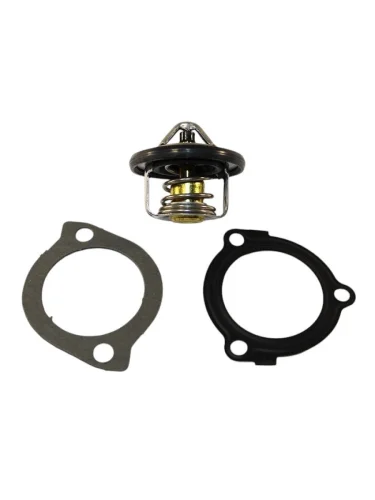 Термостат с прокладкой HYUNDAI SOLARIS 10-NISSAN QASHQAIJUKEMICRANOTE MR18DEMR20DEHR15DECR14D VERNET th6949.82j