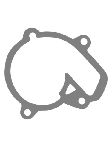 KTM 450 EXCXC-W 09-11, 530 EXCXC-W 09-11 прокладка помпы 78035053000 CHAKIN 00kt-104