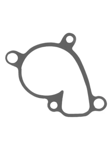 Suzuki RM250 2001-2008 прокладка помпы 17431-37F00 CHAKIN 000s-098