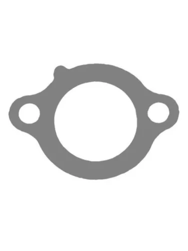 Yamaha TDM900, FJR1300 прокладка натяжителя цепи грм 5JW-12213-00-00 CHAKIN 000y-047